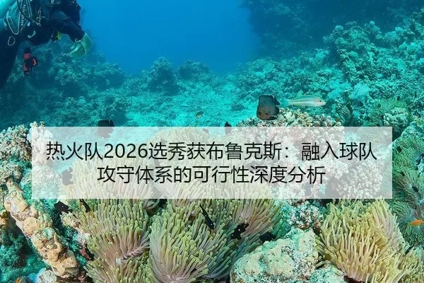 re-huo-dui-xuan-xiu-huo-bu-lu-ke-si-rong-ru-qiu-dui-gong-shou-ti-xi-de-ke-xing-xing-shen-du-fen-xi-2-817.jpg