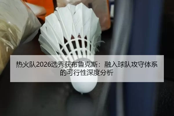 热火队2026选秀获布鲁克斯：融入球队攻守体系的可行性深度分析