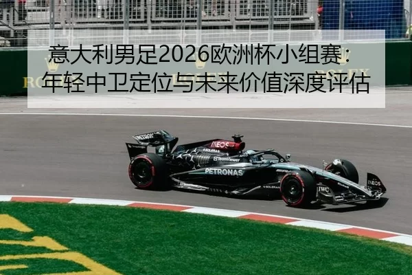 yi-da-li-nan-zu-ou-zhou-bei-xiao-zu-sai-nian-qing-zhong-wei-ding-wei-yu-wei-lai-jia-zhi-shen-du-ping-gu-2-348.jpg