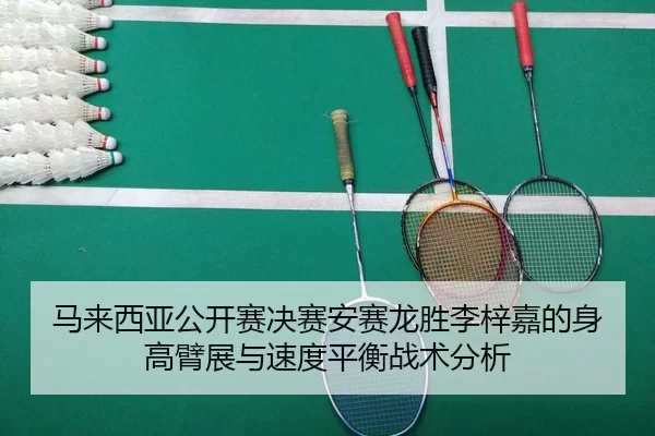 马来西亚公开赛决赛安赛龙胜李梓嘉的身高臂展与速度平衡战术分析